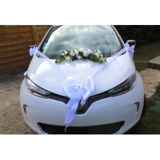 Kit de décoration voiture