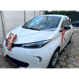 Kit de décoration voiture