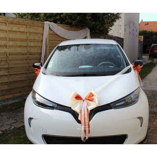 Kit de décoration voiture