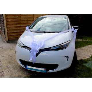 Kit de décoration voiture